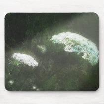 Queen Anne's Lace 3 Moonbeam mousepads by LivingNature Queen Anne's Lace 3 Moonbeam mousepads