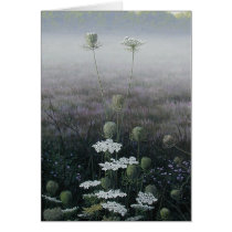 Queen Anne's Lace cards