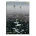 Queen Anne's Lace cards