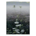 Queen Anne's Lace cards