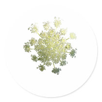 Queen Anne's Lace cutout stickers by MAPASUE Queen Anne's Lace cutout stickers