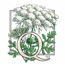 Queen Anne's Lace Flower Monogram Photo Sculptures