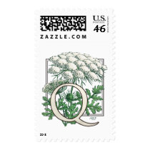 Queen Anne's Lace Flower Monogram stamps