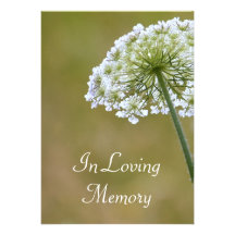 Queen Anne's Lace Memorial Service Announcement
