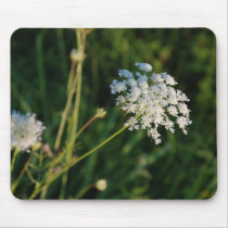 Queen Anne's Lace mousepads by wandringmind Queen Anne's Lace mousepads