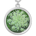 Queen Anne's Lace by Bebops