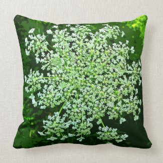 Queen Annes Lace Pillow