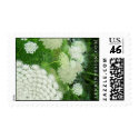 Queen Anne's Lace postage