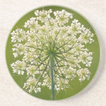 Queen Anne's Lace Sandstone Coaster coasters