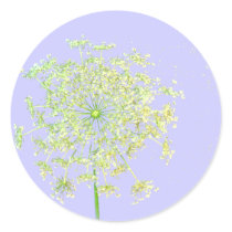 Queen Anne's Lace Stickers