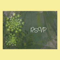 Queen Anne's Lace Wedding  Reception RSVP invitations