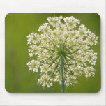 Queen Anne's Lace Wildflower Mouse Pad
