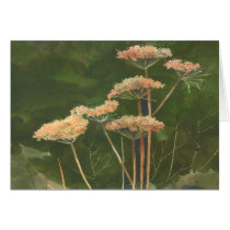 QUEEN ANN'S LACE by SHARON SHARPE cards