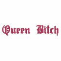 Queen B*tch Hoodie embroidered shirts
