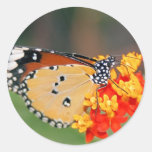 Queen Butterfly Sticker