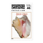 Queen Conch Seashell stamps
