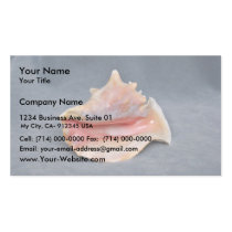 Queen Conch Shell Business Card Template