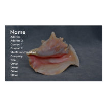 Queen Conch Shell Business Cards