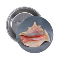 Queen Conch Shell Pinback Button
