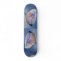 Queen conch (Strombus gigas) Shell Skateboard Deck