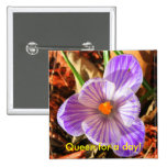 Queen for a day! Button buttons