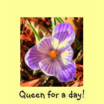 Queen for a day! t-shirts