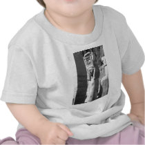Queen Hatshepsut's Temple Egypt t-shirts by MyOtherPlanet Queen Hatshepsut's Temple Egypt t-shirts