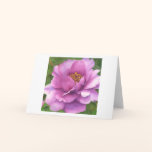 Queen Magenta (mini) watercolor art greeting card cards