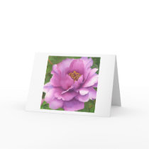 Queen Magenta (mini) watercolor art greeting card
