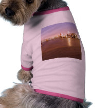 Queen Mary Decks Ships Night pet clothing