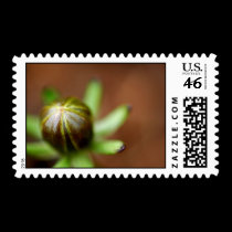 Queen Of the Floweries postage