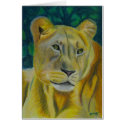 Queen of the Jungle cards