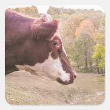 Queen of the Meadow Square Sticker