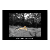 Queen of the Pride posters