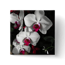 Queen Orchid Pins