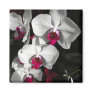 Queen Orchid Magnets