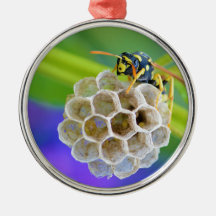 Queen Paper Wasp Tending to Her Nest Christmas Tree Ornaments