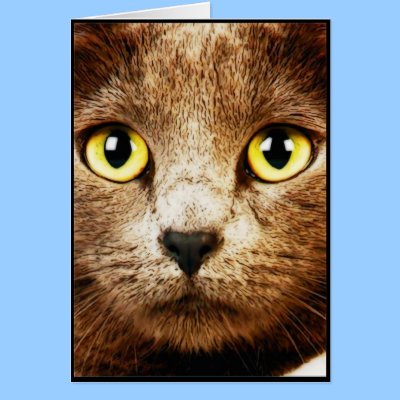 Queen Priss Greeting Card by stacy_taylor