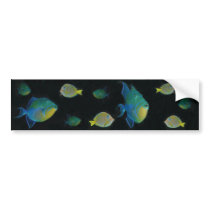 Queen Triggerfish bumper stickers bumper stickers by Thorninger Queen Triggerfish bumper stickers bumper stickers