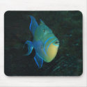 Queen Triggerfish mousepad