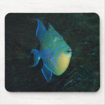 Queen Triggerfish mousepad by Thorninger Queen Triggerfish mousepad
