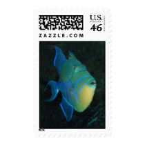 Queen Triggerfish stamps