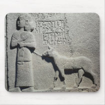 Queen Tuwarissa, wife of King Araras Mousepad