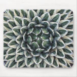 Queen Victoria agave, variegated Mousepad
