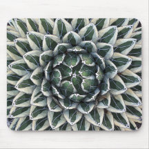 Queen Victoria agave, variegated Mousepad