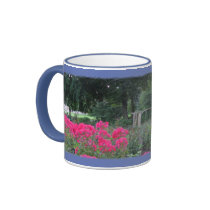 Queen Victoria Park, Niagara Falls mugs