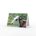 birthday, belated birthday, cow, cattle, hereford,