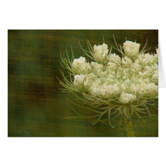 Queen's Anne Lace card