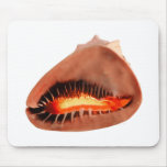 Queens Helmet Mouse Mats