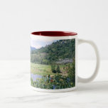 Queensland Mugs